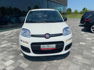 FIAT Panda usata, con Airbag Passeggero