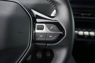 PEUGEOT 3008 usata, con Luci diurne LED