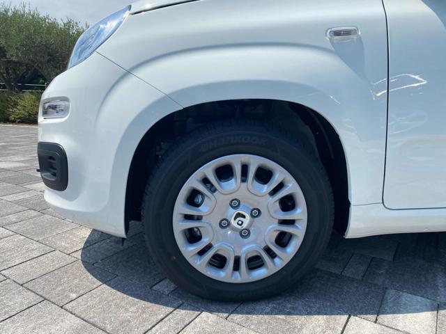 FIAT Panda usata, con Controllo trazione