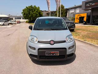FIAT Panda usata, con Antifurto