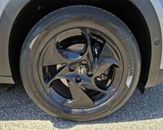 ALFA ROMEO Junior usata 14