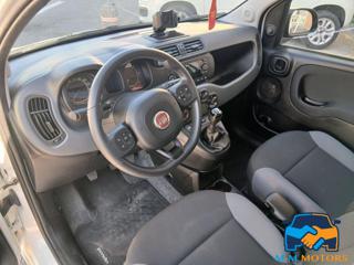 FIAT Panda usata, con Controllo trazione