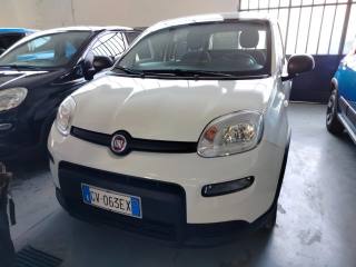 FIAT Panda usata, con Airbag Passeggero