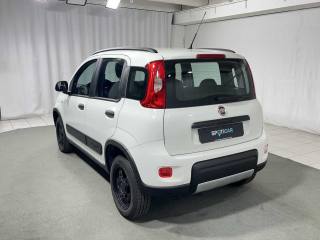 FIAT Panda usata, con Airbag Passeggero