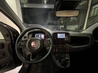 FIAT Panda usata, con Controllo elettronico della corsia
