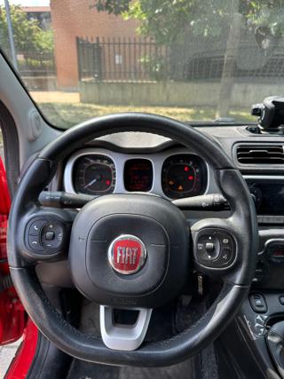 FIAT Panda Cross usata, con Climatizzatore