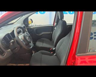FIAT New Panda usata 12