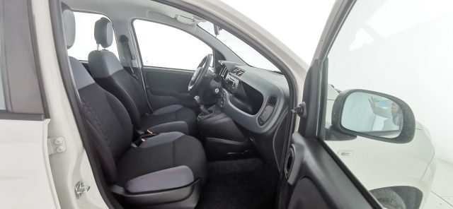 FIAT Panda usata 46
