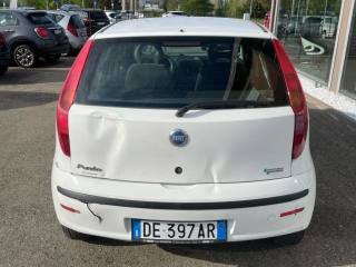 FIAT Punto usata, con Servosterzo