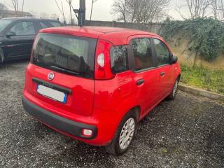 FIAT Panda usata, con Autoradio