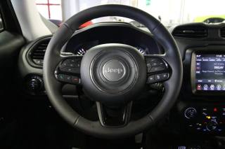 JEEP Renegade usata, con Cronologia tagliandi