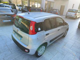 FIAT Panda usata, con Lettore CD