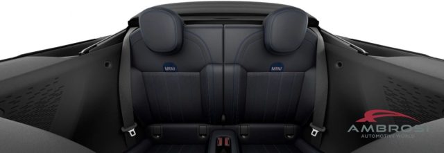 MINI Cabrio usata 9