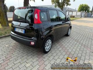FIAT Panda usata, con Airbag Passeggero