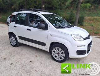 FIAT Panda usata 15