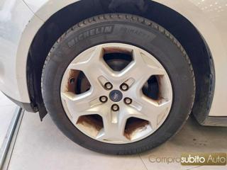 FORD Focus usata 15