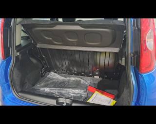 FIAT Pandina usata, con Riconoscimento dei segnali stradali