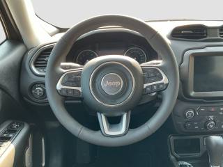 JEEP Renegade usata 11