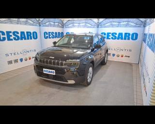 JEEP Avenger usata, con Controllo automatico clima