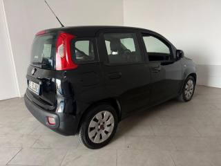 FIAT Panda usata 5