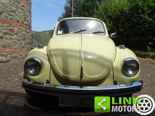 VOLKSWAGEN Maggiolone usata 1