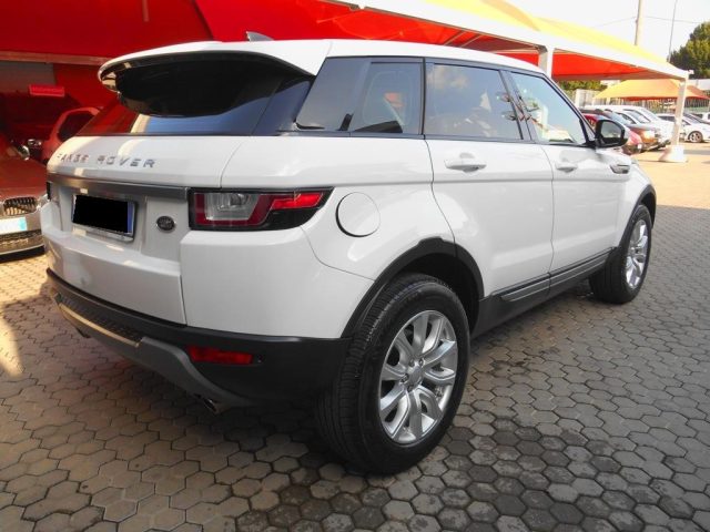 LAND ROVER Range Rover Evoque usata, con Cronologia tagliandi
