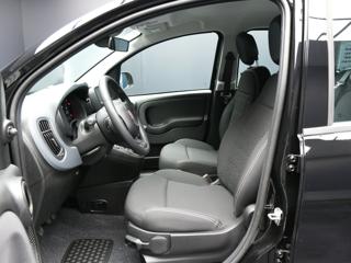 FIAT Pandina usata, con Climatizzatore