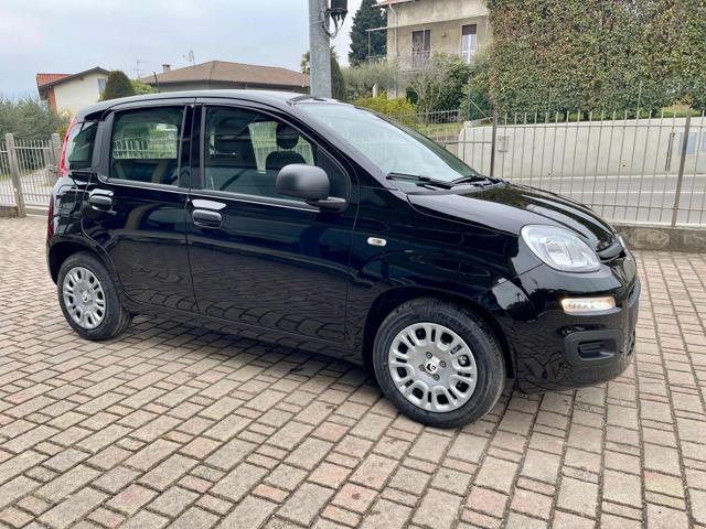 FIAT Panda usata, con Airbag Passeggero