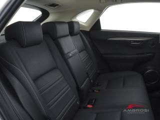 LEXUS NX 300h usata 10