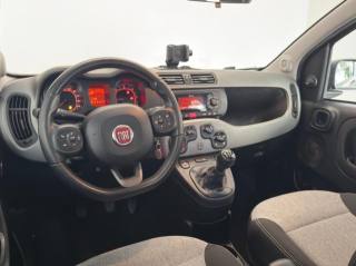 FIAT Panda usata 16