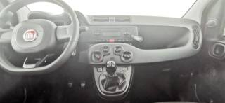 FIAT Panda usata 41
