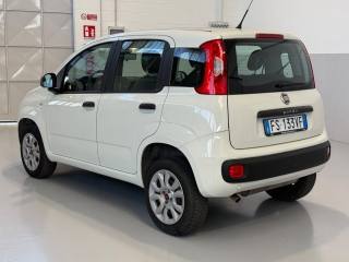FIAT Panda usata, con Controllo trazione