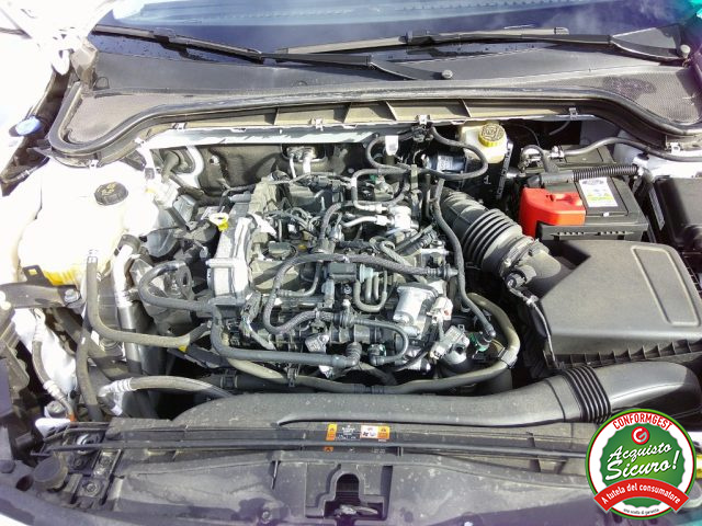 FORD Focus usata, con Servosterzo