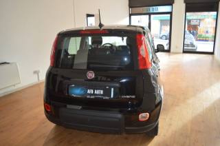 FIAT Panda usata, con Alzacristalli elettrici