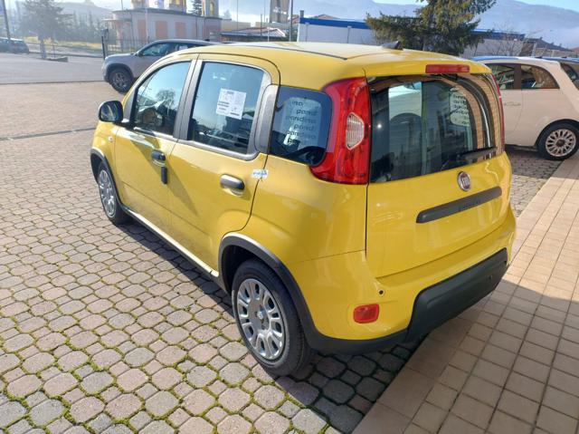 FIAT Panda usata, con Alzacristalli elettrici