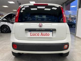 FIAT Panda usata, con Alzacristalli elettrici