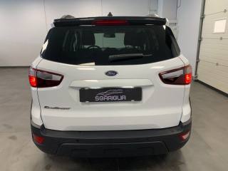 FORD EcoSport usata, con Airbag Passeggero