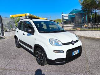 FIAT Panda usata 2