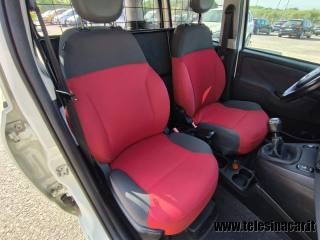 FIAT Panda usata 13