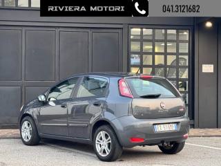 FIAT Punto usata, con Servosterzo