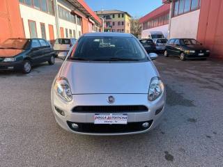 FIAT Punto usata, con Airbag
