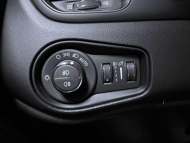 JEEP Renegade usata, con Cruise Control
