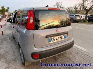 FIAT Panda usata, con Antifurto