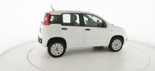 FIAT Panda usata, con Airbag testa
