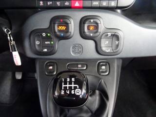 FIAT Panda Cross usata, con Fendinebbia