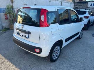 FIAT Panda usata, con Airbag