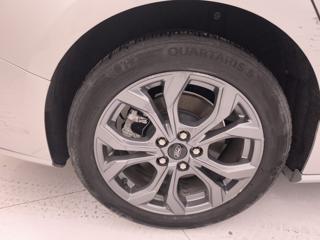 FORD Focus usata, con Bracciolo