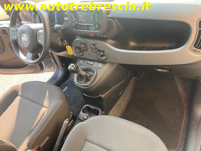 FIAT Panda usata, con Volante multifunzione