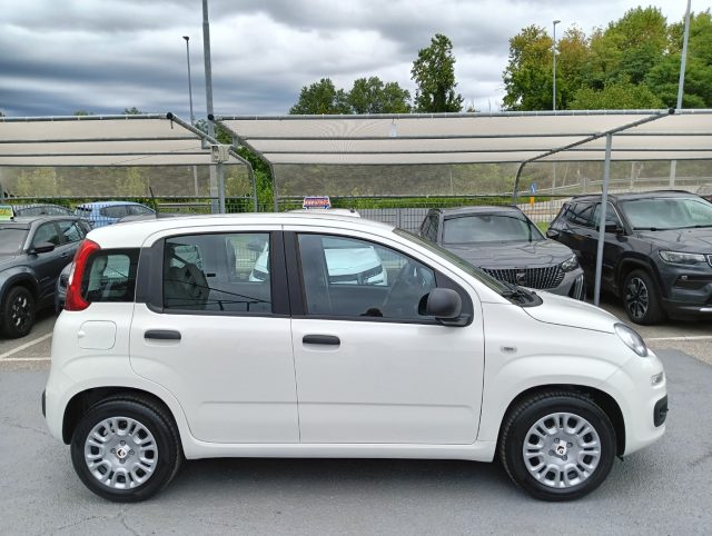 FIAT Panda usata, con Alzacristalli elettrici