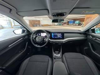 SKODA Octavia usata, con Cruise Control